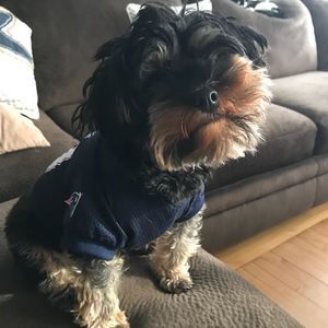 Meet your Posher, Cindy